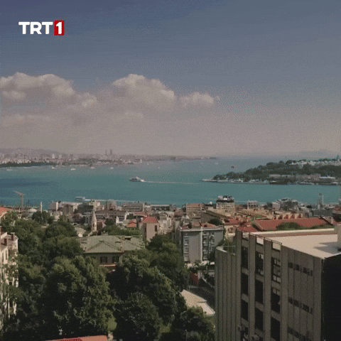 Tuesday Morning Turkey GIF by TRT