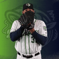 GoStripers santiago gwinnett stripers GIF