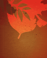 Thanks Thanksgiving GIF by We Set The Standards