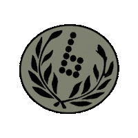 Sticker by Braille Skateboarding