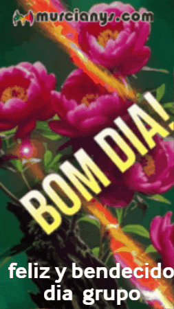 Feliz Amigos GIF by Murcianys LLC