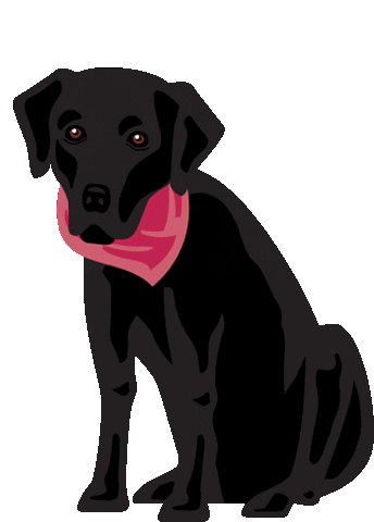 Dog Labrador Sticker