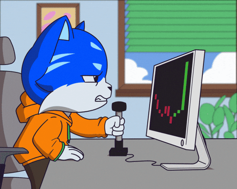 Pump It Cat GIF by Toshithecat