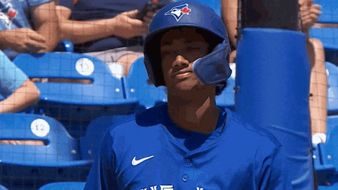 Blue Jays No GIF by Toronto Blue Jays