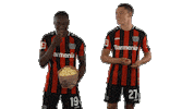Laugh Lol Sticker by Bayer 04 Leverkusen