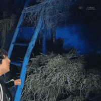 Surprised Country GIF by Rodriw Castel