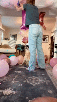 'Happiest' Partially Paralyzed Dog Celebrates 13th Birthday
