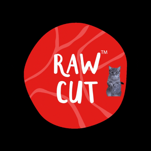 rawcut giphygifmaker giphyattribution cat rawcut GIF