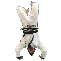 Grappling Black Belt Sticker by Academy Jiu-Jitsu
