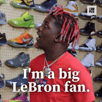 Big Lebron fan