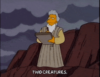 season 9 GIF