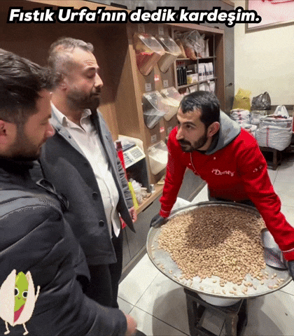 Urfa Fıstık GIF