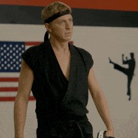 Cobra Kai GIF by NETFLIX
