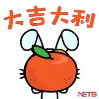 Chinese New Year Rabbit Sticker by NETS
