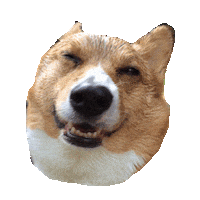 dog laughing Sticker