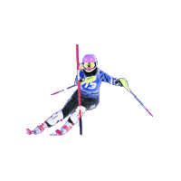 Sticker by Ski Quebec alpin
