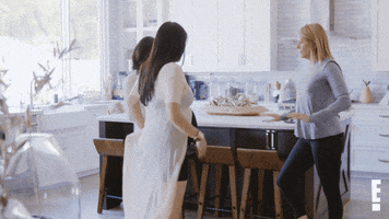 Nikki Bella Twins GIF by E!