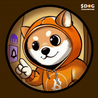 Knock Knock Dog Play GIF by $DOG