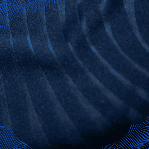 Sport Bundesliga GIF by TSG Hoffenheim