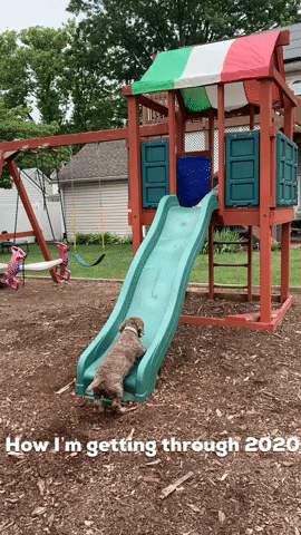 StephJay22 2020 covid19 hanginginthere GIF