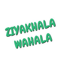 Big Brother Wahala Sticker by DStv