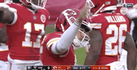 2018 Nfl Football GIF by NFL