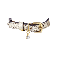 Cheshireandwain cat cat collar cheshire wain cheshire and wain Sticker