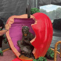 Apple Liberty GIF by Respective