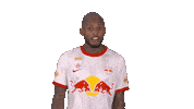 Red Bull Sport Sticker by FC Red Bull Salzburg