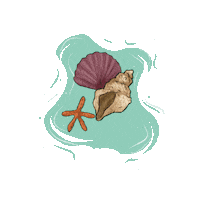 Summer Beach Sticker