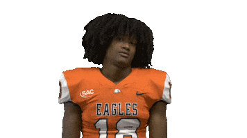 Nfl Preseason Football Sticker by Carson-Newman Athletics