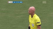 euro 2016 iceland GIF by Sporza