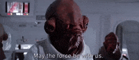 May The Fourth Be With You GIF by Star Wars