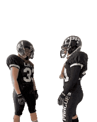 PragueBlackCats americanfootball pbc pbp tacklefootball Sticker