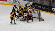 CardiffFire goal fall ice hockey celly GIF