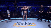 Rose Namajunas Sport GIF by UFC
