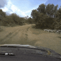 Fail Game Over GIF by FIA World Rally Championship