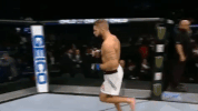 ufc 205 GIF