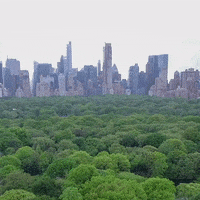 United Nations Soil GIF by FAO