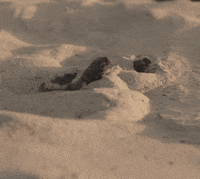 hallmark hall of fame hello GIF by Hallmark Channel