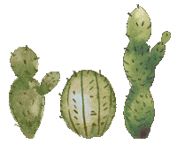 Boho Cactus Sticker