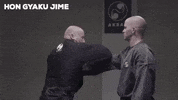 ninja sheriff GIF by AKBAN Academy
