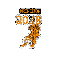 Princeton 2028 Sticker by Princeton University