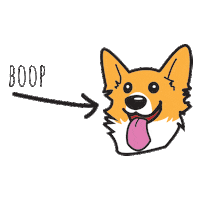 BOOPseattle dog corgi nose boop Sticker
