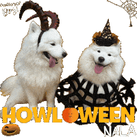 Trick Or Treat Halloween Sticker