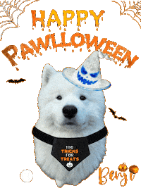 Trick Or Treat Halloween Sticker