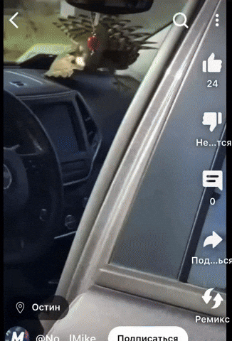 eruewyrigsafigsifgsifjgb giphyupload GIF