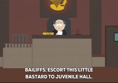court judge GIF by South Park 