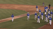 excited baseball GIF