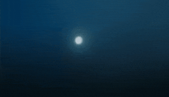 Drag Queen GIF by Database數據